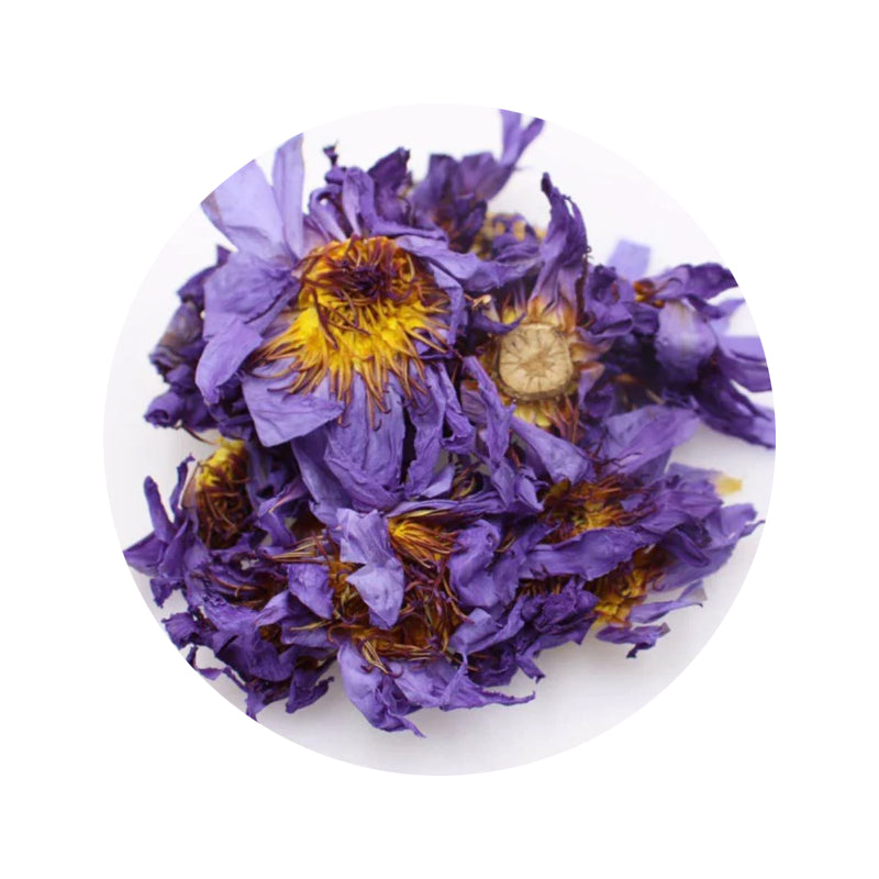 Egyptian Blue Lotus Flower Tea, Sacred Lotus Tea, 1.06 Oz, Whole Flowe –  miralandberry