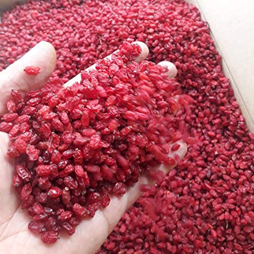 Dried Natural Barberry